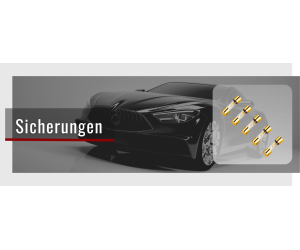 Sicherungen